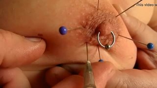 Tit play piercing